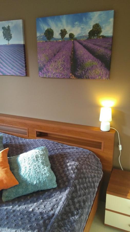 City Center Apartment Słupsk Eksteriør bilde